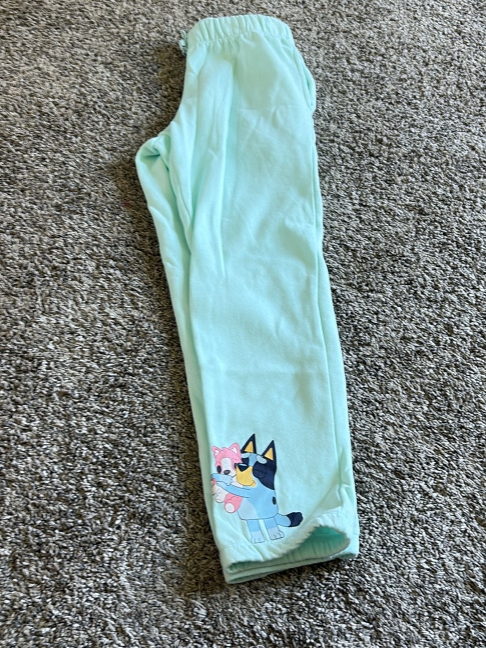 Light Aqua Kids Fleece Pants with Puppy Graphic